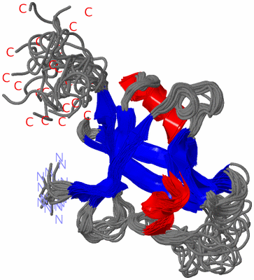 Image NMR Structure - all models