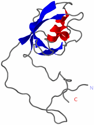 Image NMR Structure - model 1