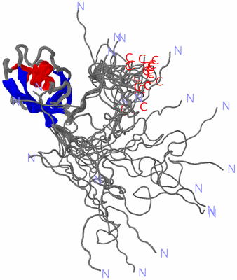 Image NMR Structure - all models