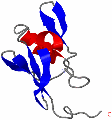 Image NMR Structure - model 1