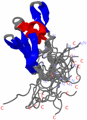 Image NMR Structure - all models