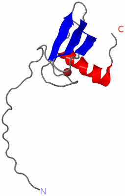Image NMR Structure - model 1