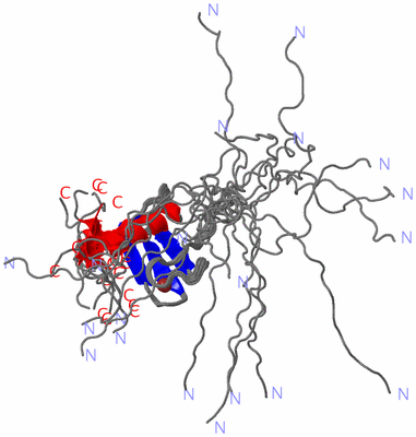 Image NMR Structure - all models