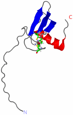 Image NMR Structure - model 1, sites