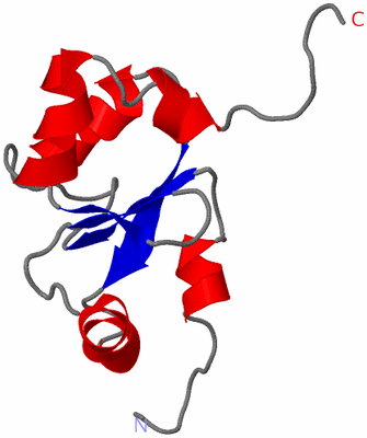 Image NMR Structure - model 1
