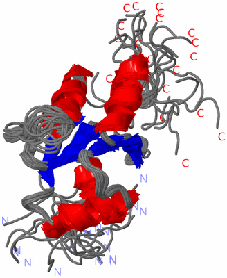 Image NMR Structure - all models