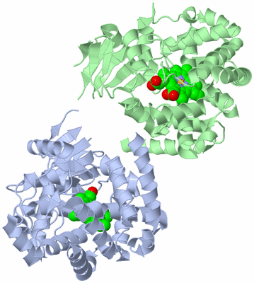 Image Asymmetric Unit