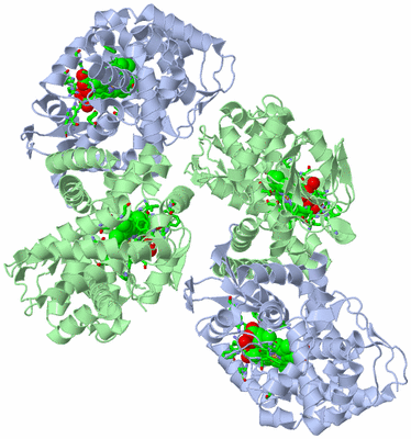 Image Biol. Unit 1 - sites