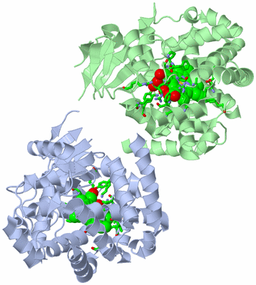 Image Asym. Unit - sites