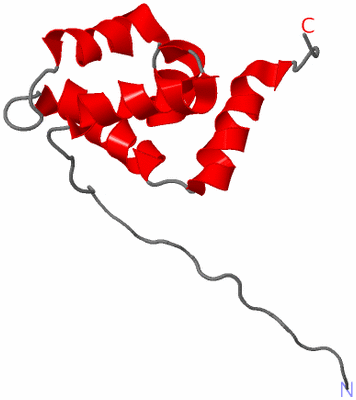 Image NMR Structure - model 1