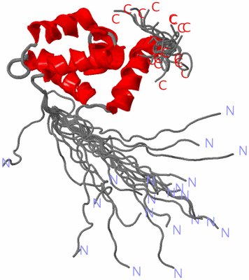 Image NMR Structure - all models