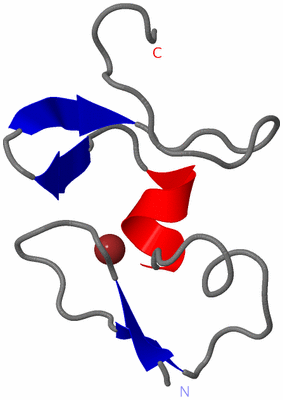 Image NMR Structure - model 1