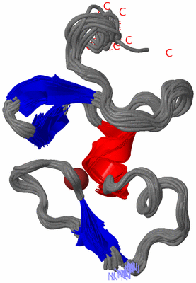 Image NMR Structure - all models