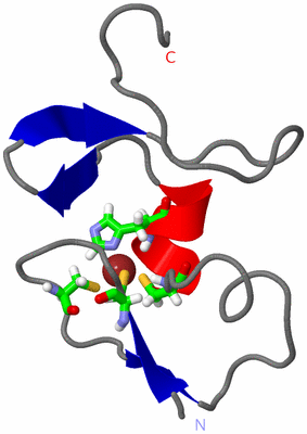 Image NMR Structure - model 1, sites