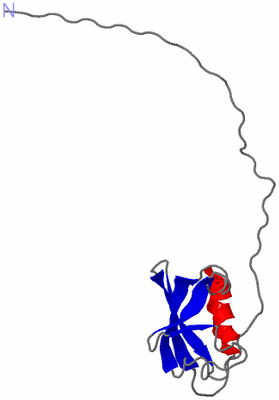 Image NMR Structure - model 1