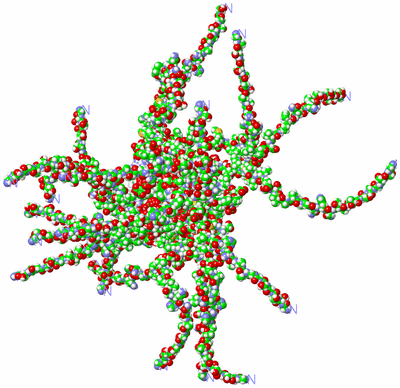 Image NMR Structure - all models