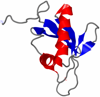 Image NMR Structure - model 1