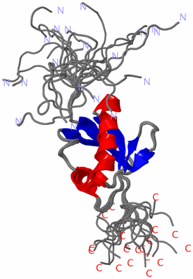 Image NMR Structure - all models