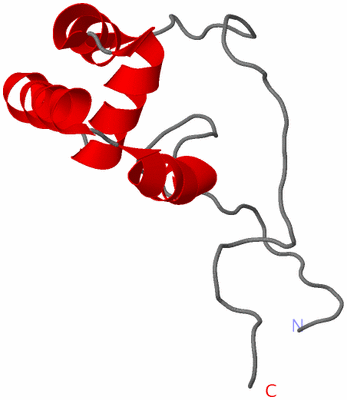 Image NMR Structure - model 1