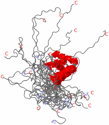 Image NMR Structure - all models