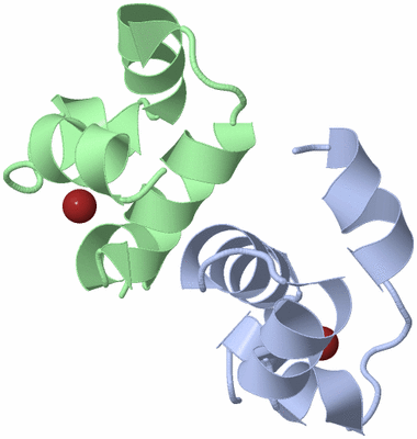 Image NMR Structure - model 1