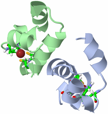 Image NMR Structure - model 1, sites