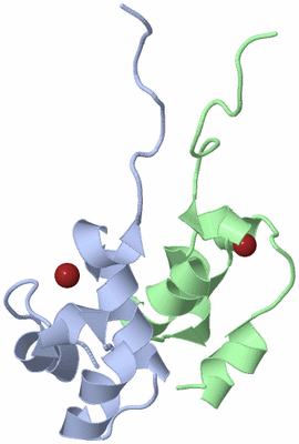 Image NMR Structure - model 1