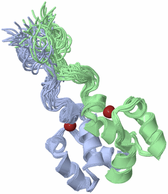 Image NMR Structure - all models