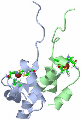 Image NMR Structure - model 1, sites