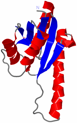 Image Asymmetric Unit