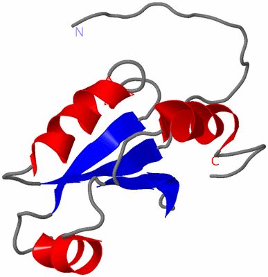 Image NMR Structure - model 1
