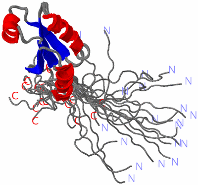 Image NMR Structure - all models