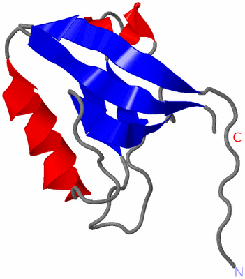 Image NMR Structure - model 1