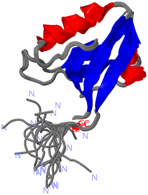 Image NMR Structure - all models