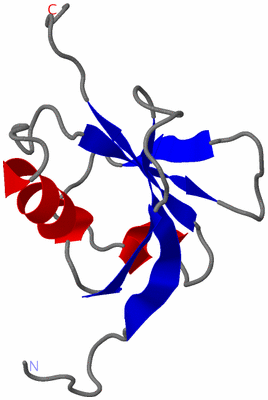 Image NMR Structure - model 1