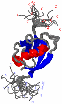 Image NMR Structure - all models