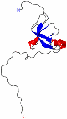 Image NMR Structure - model 1