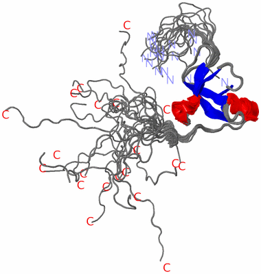 Image NMR Structure - all models