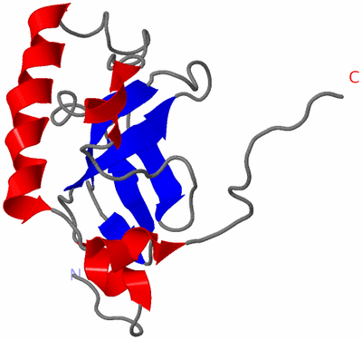 Image NMR Structure - model 1