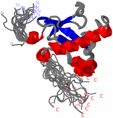 Image NMR Structure - all models