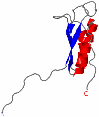 Image NMR Structure - model 1