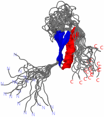 Image NMR Structure - all models