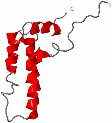 Image NMR Structure - model 1