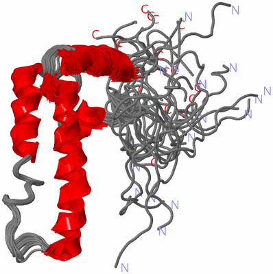 Image NMR Structure - all models