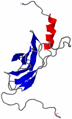 Image NMR Structure - model 1