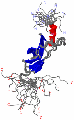 Image NMR Structure - all models