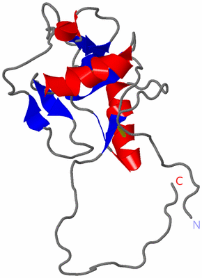 Image NMR Structure - model 1
