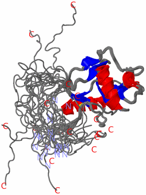 Image NMR Structure - all models