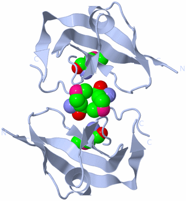 Image Biological Unit 2