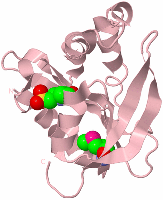 Image Biological Unit 3